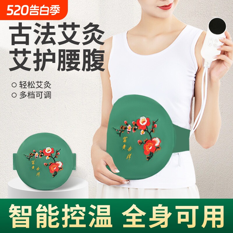 平直堂电加热艾灸宝热敷护腰带家用艾草绒艾灸包腰腹部暖肚子神器