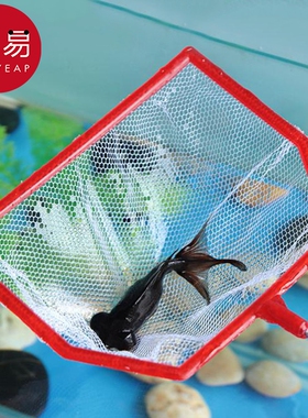 渔捞/小AE1sn0-鱼缸网捞观赏鱼户外便携网兜密捞鱼儿童手抄