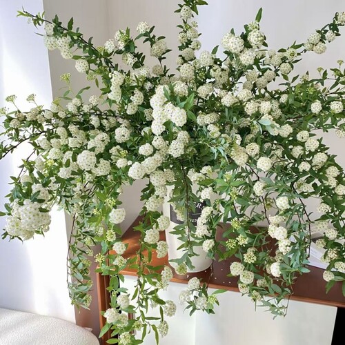 小手球绣线菊鲜切枝条鲜花水养开花家用办公室内插花婚庆配花包邮