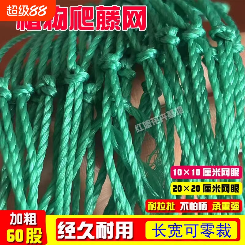丝瓜爬藤网植物攀爬网瓜果苦瓜吊瓜葡萄瓜蒌豆角百香果菜园绳子