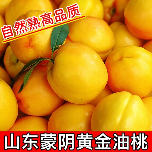 山东蒙阴黄油桃新鲜水果桃子黄金蜜桃4.5斤大蜜桃农家自种鲜果