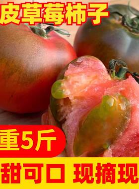 顺丰正宗铁皮丹东柿子盐碱地西红柿草莓新鲜自然水果现摘成熟番茄