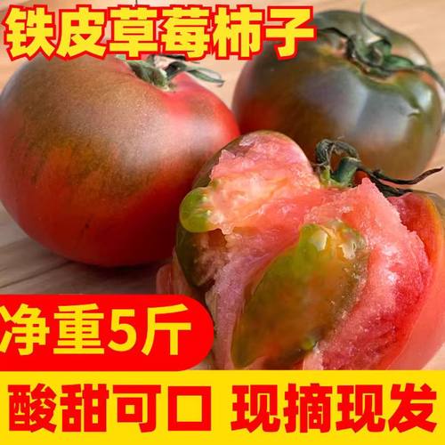 顺丰正宗铁皮丹东柿子盐碱地西红柿草莓新鲜自然水果现摘成熟番茄