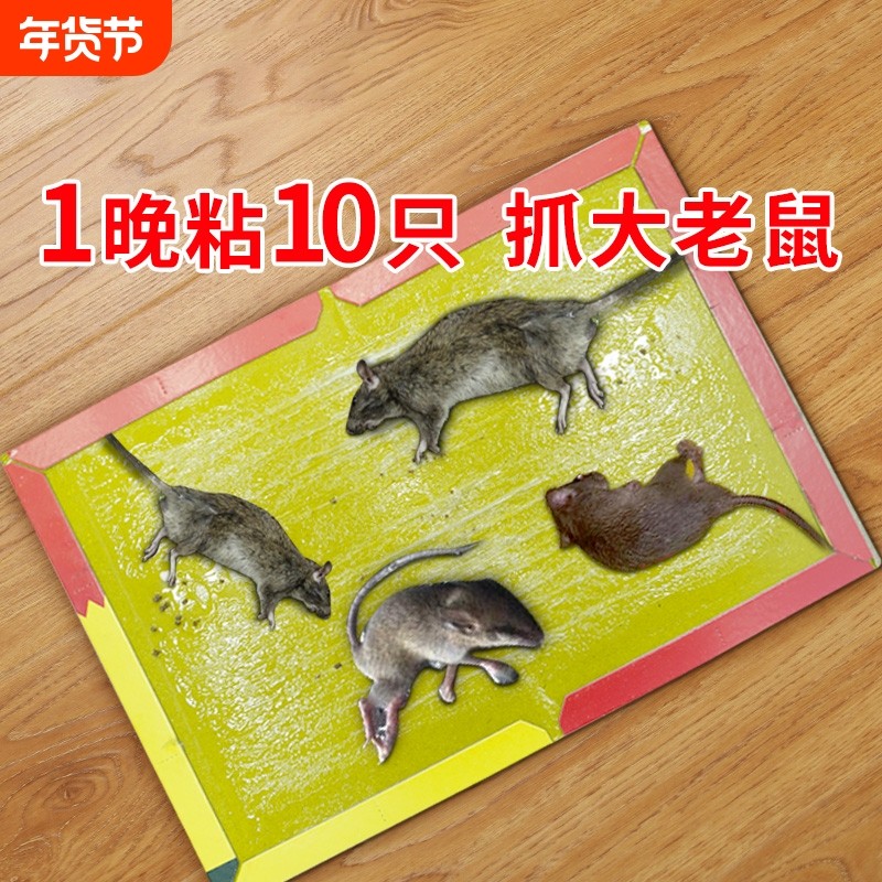 50张强力粘鼠板捉粘大老鼠沾胶抓灭鼠笼捕鼠夹神器正品家用一窝端,居家日用,灭鼠笼/捕鼠器,淘宝优惠券,粉丝福利购,淘宝优惠卷