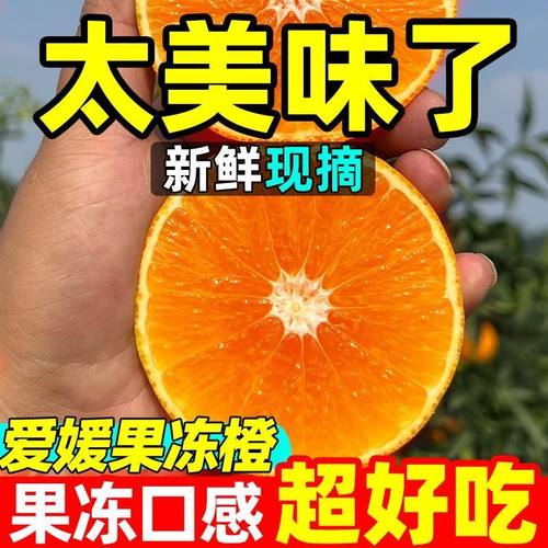 【彩箱装】四川38号爱媛橙果冻橙4.5斤果径65mm+
