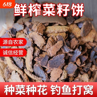 菜籽饼肥料农家现榨菜枯油菜饼钓鱼打窝油枯菜籽有机肥营养土肥料