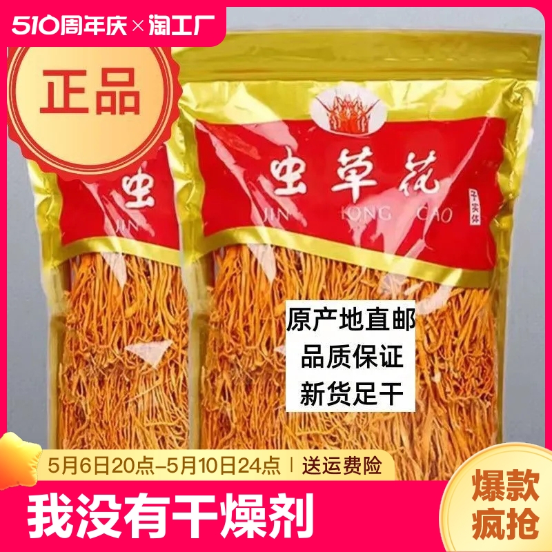 新鲜虫草花干货正品商用净重金蛹虫草菇炖汤煲汤火锅食用菜类实体