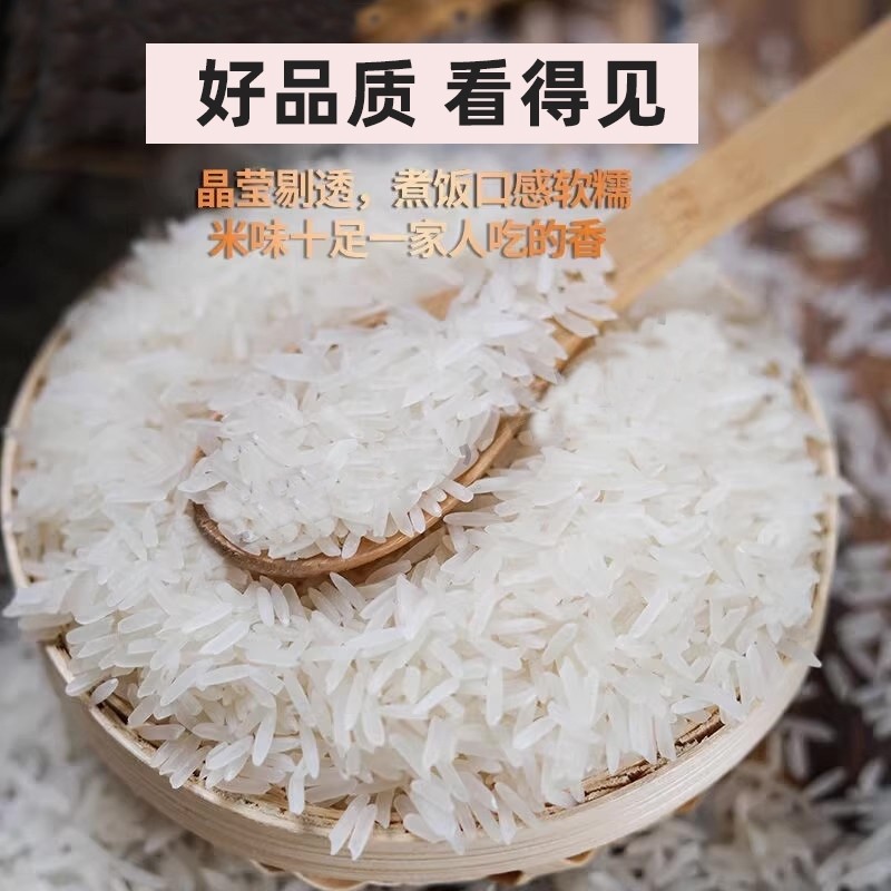 四川大米20斤/10斤猫牙米农家长粒香米丝苗米灿米新米优选5kg