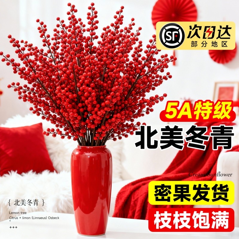 进口北美冬青红果真花鲜切花红豆鲜花室内水养植物花卉银柳年宵花,鲜花速递/花卉仿真/绿植园艺,绿植,淘宝优惠券,粉丝福利购,淘宝优惠卷