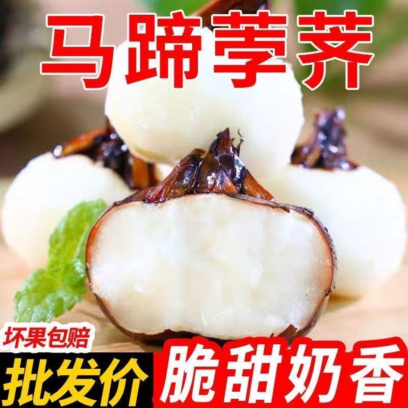 安徽特产现挖水晶马蹄