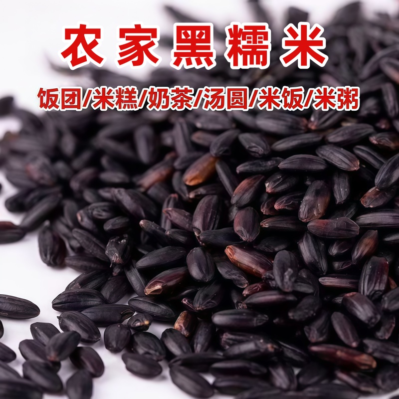 黑米山西黑香米黑糙米五谷杂粮粥5斤代餐当年新货正宗血糯米
