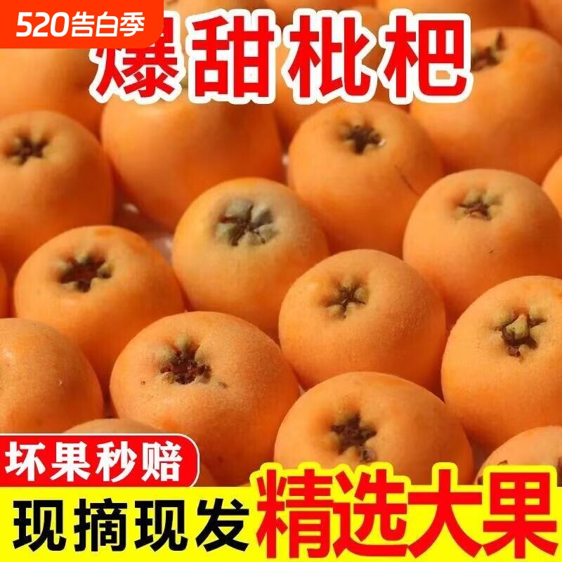 四川米易枇杷鲜果生鲜批把大五星琵芭当季新鲜水果枇把批发包邮