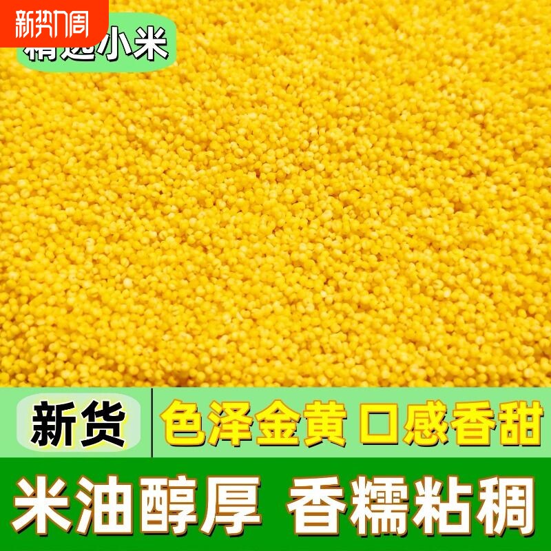 黄小米农家黄金新米特产养胃油糯小米粥五谷杂粮米脂茶苗米油粮食
