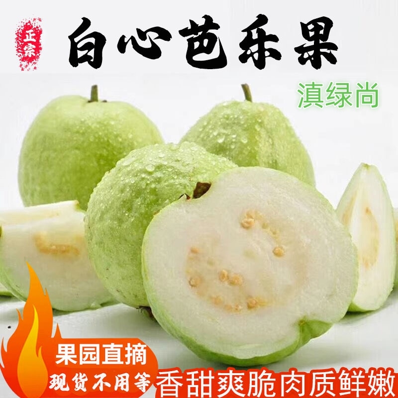 【优质款】云南高山番石榴珍珠白心芭乐新鲜水果清脆现摘石榴软硬