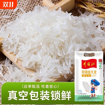 长粒香米井冈山丝苗大米新米煲仔饭专用猫牙米真空优质米饭现磨