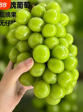 光玫瑰葡萄新鲜水果5斤晴王葡萄无籽香印提子青提当季整箱