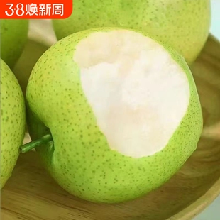 安徽砀山梨青梨酥梨子水果新鲜应当季整箱包邮正宗皇雪翠冠梨现摘