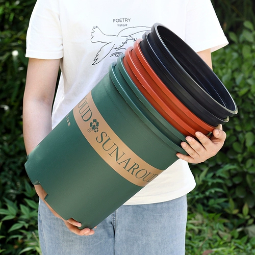 Flowerpot 2024 Новая высококачественная пластиковая смола сочная маленькая зеленая плющ большой галлон горшок третьего поколения проста проста