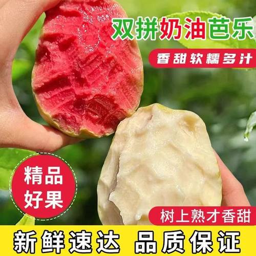 奶油芭乐广东双拼红心白心芭乐软心软糯新鲜番石榴硬脆甜整箱批发