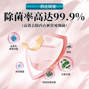 内衣专用蛋白酶去黄去血渍洗衣液500克多规格