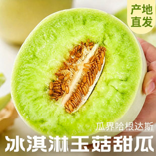 正宗玉菇甜瓜新鲜水果应当季蜜瓜香瓜冰淇淋脆甜斤白瓜整箱包邮