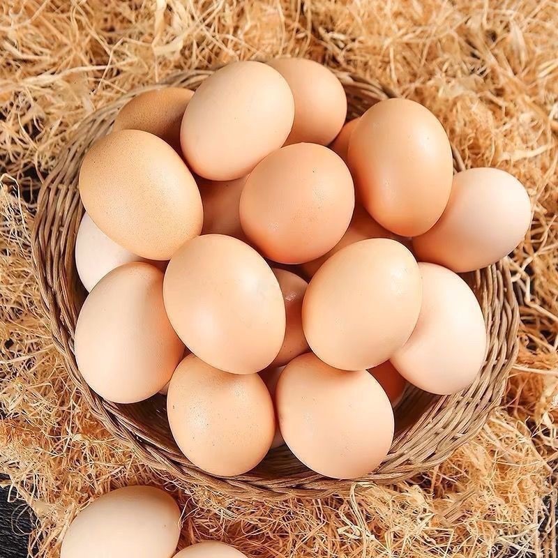 农家谷物鸡蛋新鲜农家散养土鸡蛋柴鸡蛋现捡40g 正负5g20枚