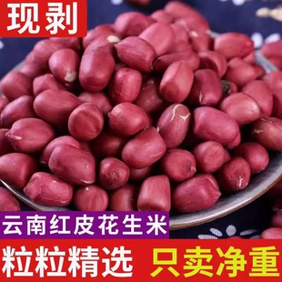 新红皮花生米云南新鲜农家生花生晒干不带壳小花生米原味下酒 包邮