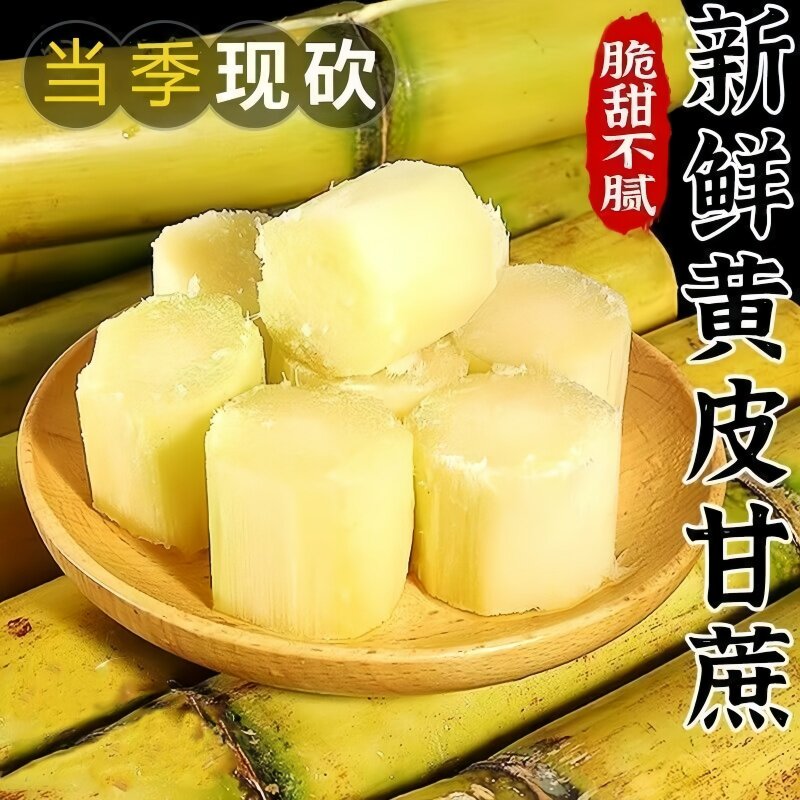 云南新鲜黄皮甘蔗现砍现卖脆甜多汁应季水果农家自种产地直销