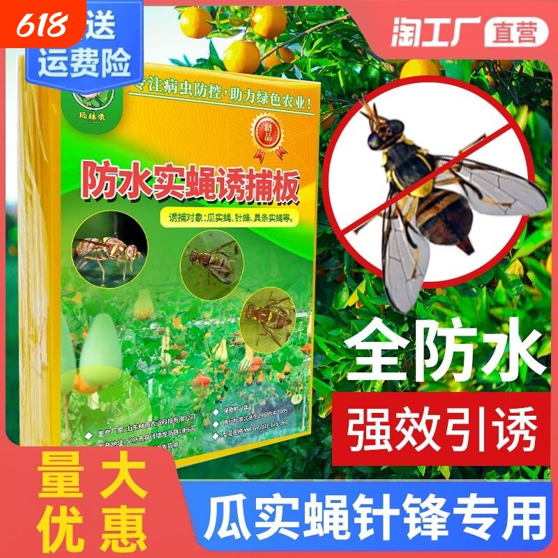 瓜果实蝇粘胶板果蝇诱粘板针蜂粘虫板粘蝇纸柑橘诱捕器灭杀苍蝇