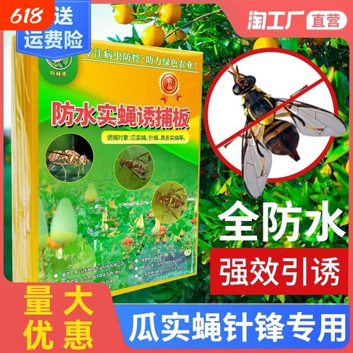 果蝇粘胶板诱捕器|超2000次加购