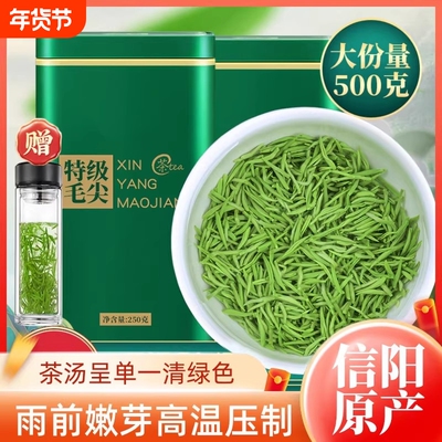 信阳绿茶毛尖正品官方旗舰店明前雨前新茶特级嫩芽全芽尖茶礼盒装