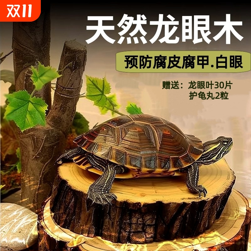 乌龟天然龙眼木晒台龟缸造景沉木摆件龙眼绿叶养龟休息晒背台爬台