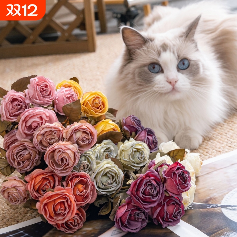 多头干枯泡泡玫仿真花假花绿植物婚庆装饰工艺品MW66901