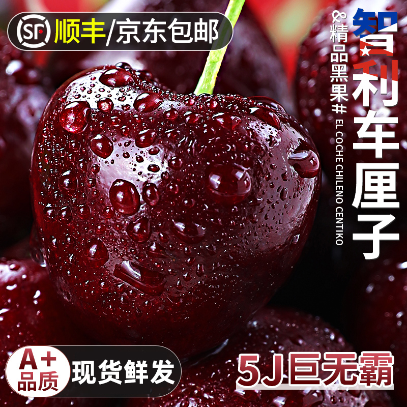 智利进口车厘子新鲜水果礼盒5应当季大樱桃345J整箱顺丰现货孕妇