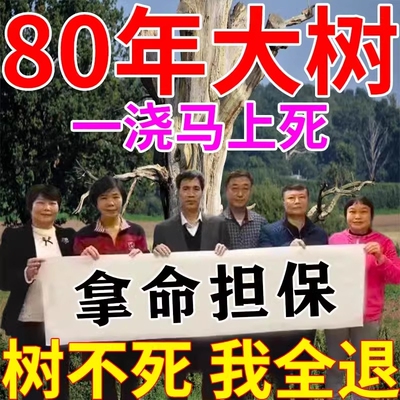烂根除大树专用药一撒枯