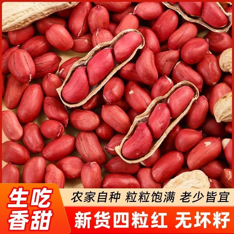 2025年新红皮花生新货10斤红衣农家四粒红花生仁红皮生可种子包邮