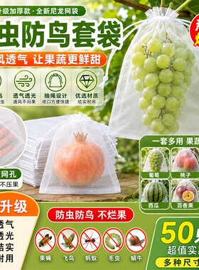 【水果蔬菜不怕被啄了】水果套袋