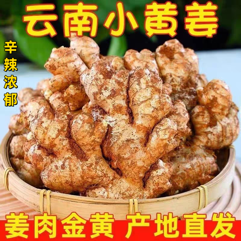 正宗云南新鲜小黄姜生姜干老姜嫩姜土姜子姜现挖高山沙姜5斤包邮