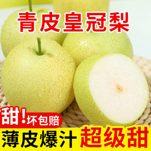 正宗砀山皇冠青梨4.5斤当季新鲜水果现摘薄皮梨子整箱可口多汁