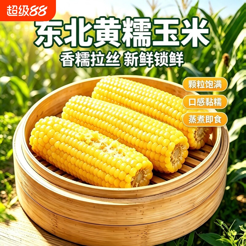 头茬东北粘糯玉米甜苞米粗粮非转基因低脂黄糯玉米棒真空软糯糯香