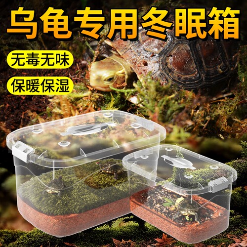 乌龟冬眠专用箱水陆两栖饲养盒
