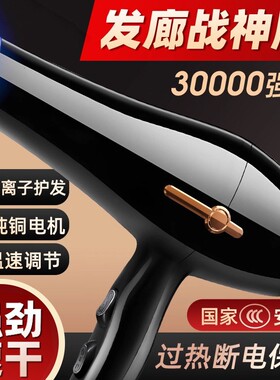 发廊大风力速干恒温吹风机