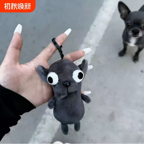 【5000+人已付款】嘻哈吉娃娃