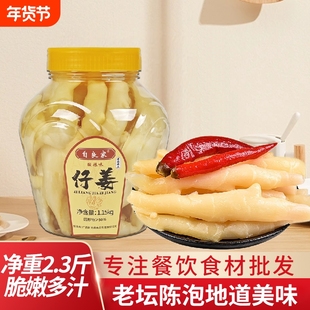 自良家泡姜嫩姜老坛泡仔姜正宗老母水泡菜泡生姜泡姜芽酸爽开胃