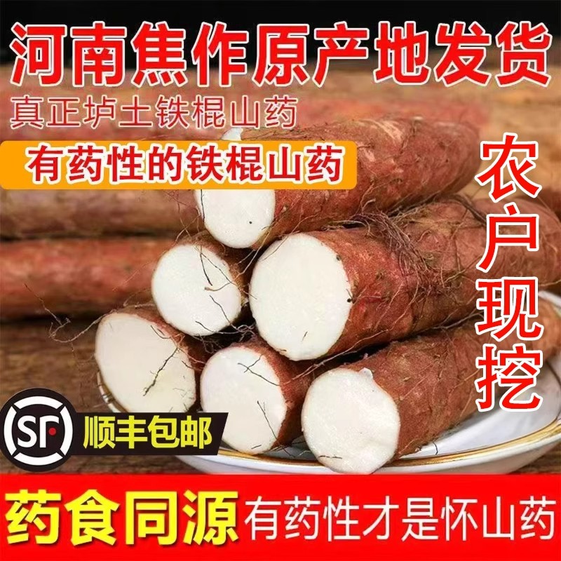 当季山药正宗垆土铁棍山药河南焦作温县淮山药新鲜怀山药蔬菜