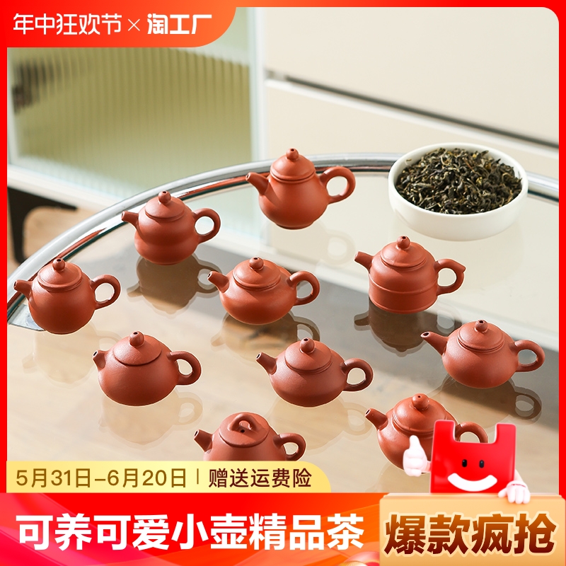 可养可爱小壶精品茶玩水迷你茶壶茶宠摆件指尖壶把把壶配件紫砂 餐饮具 茶宠摆件 原图主图