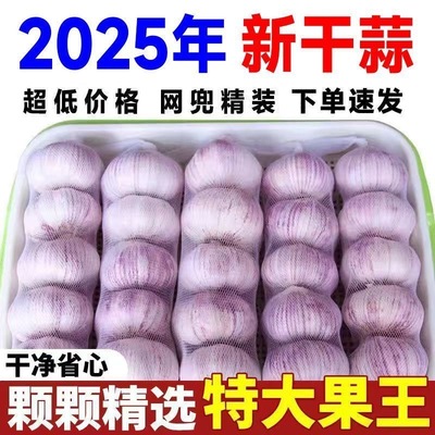 【网兜精装】2025山东金乡紫皮大蒜头干蒜蔬菜商超蒜特大果s