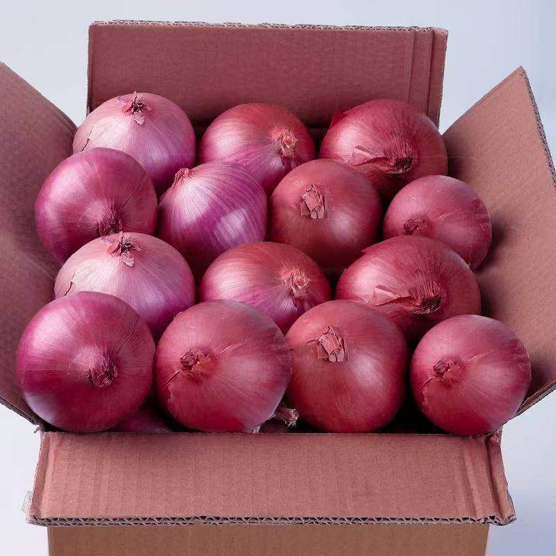 山东水果大洋葱10斤新鲜蔬菜小当季紫皮圆葱葱头元葱甜味生吃批发,水产肉类/新鲜蔬果/熟食,洋葱/红葱头,淘宝优惠券,粉丝福利购,淘宝优惠卷