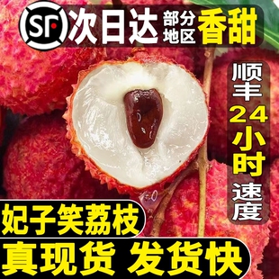 海南妃子笑荔枝当季新鲜白糖水果罂现摘大果产地直发顺丰包邮告白