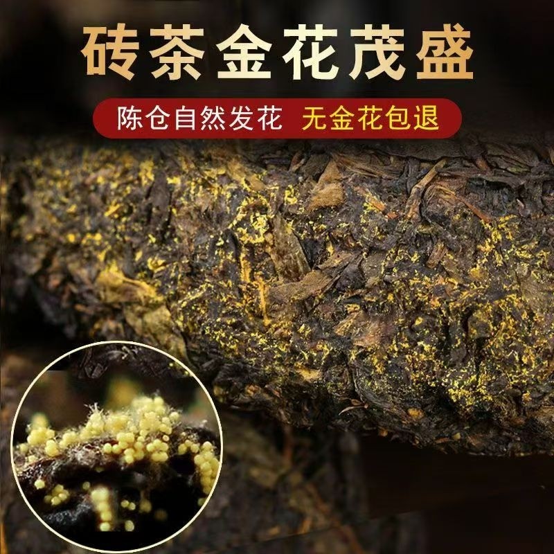 黑茶正宗湖南安化黑茶官方旗舰店正品安化黑茶金花茯砖茶陈年伏茶